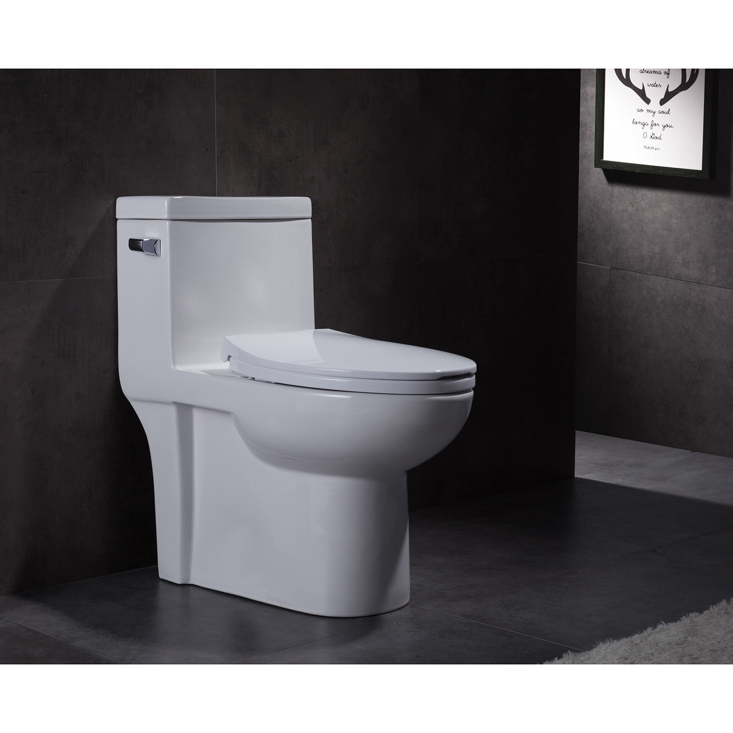 http://www.conceptbaths.com/images/detailed/17/one-piece-toilet-ov-T2181S.jpg