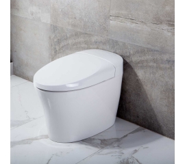 CBI One Piece Elongated Electronic Bidet Toilet