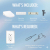 TOTO Washlet+ Nexus One-piece Elongated 1.28 GPF Toilet And Washlet S5 Bidet Seat Model: MW6423446CEFG#01